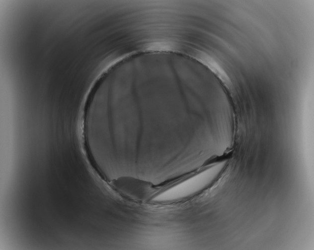 X0000095910992200802081049