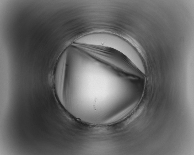 X0000095910993200802081049