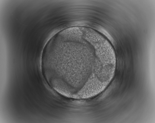 X0000095910994200802081049