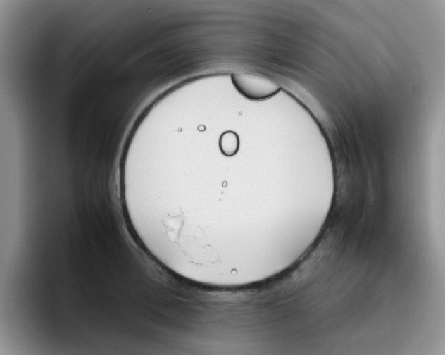 X0000095910996200802081049