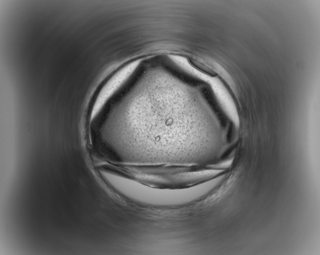 X0000095910997200802081049