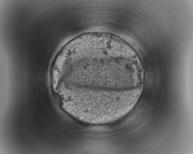 X0000095910998200802081049