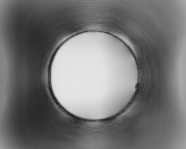 X0000095910999200802081049