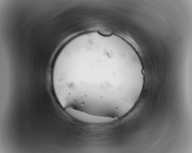 X0000095911000200802081049