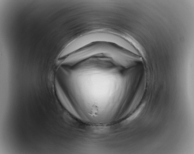 X0000095911001200802081049