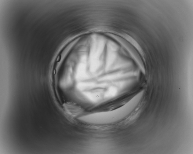 X0000095911005200802081049