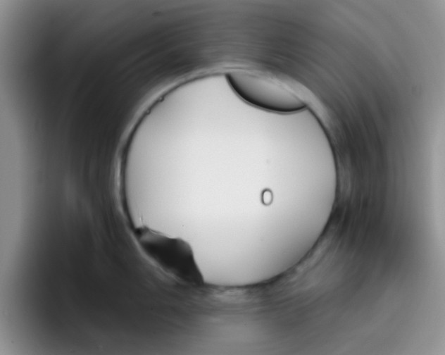 X0000095911006200802081049