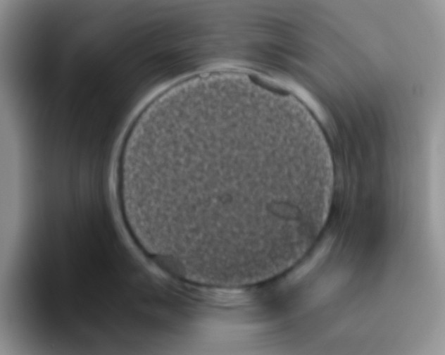 X0000095911007200802081049