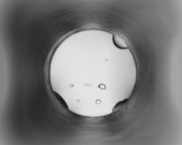 X0000095911008200802081049