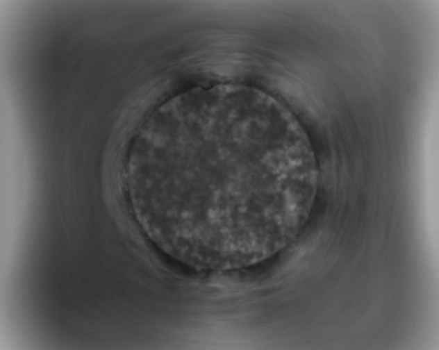 X0000095911009200802081048