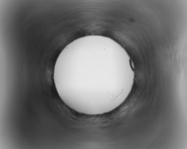 X0000095911010200802081048