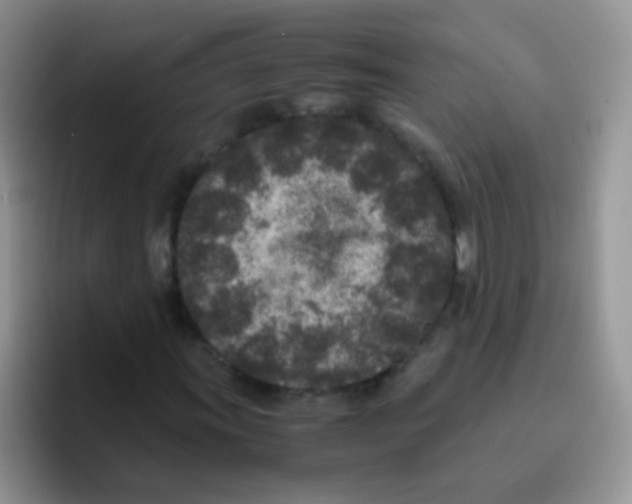 X0000095911011200802081048