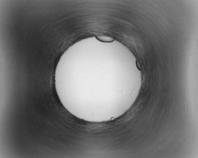 X0000095911012200802081048