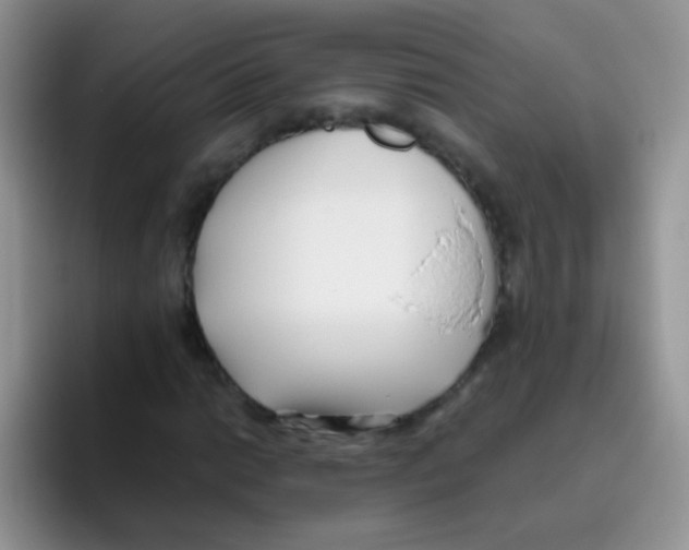 X0000095911014200802081048