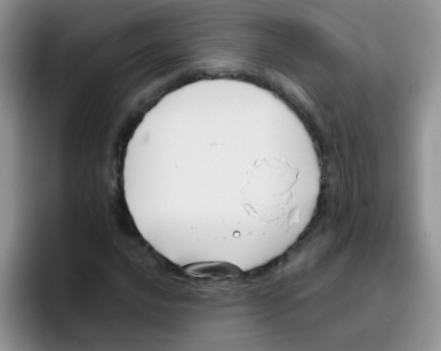 X0000095911016200802081048