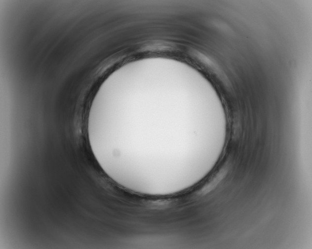 X0000095911017200802081048