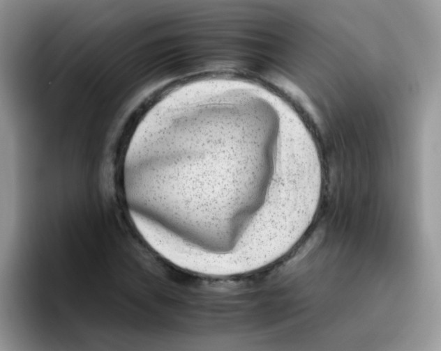 X0000095911019200802081048