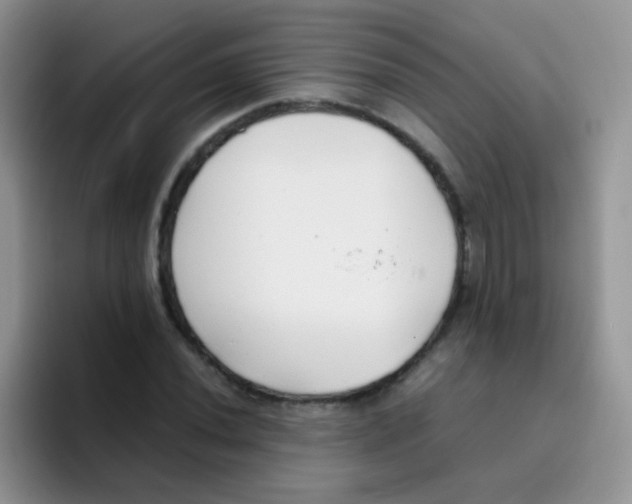 X0000095911020200802081048