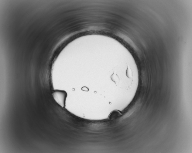 X0000095911021200802081048