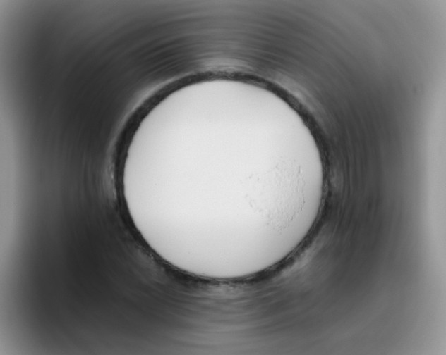 X0000095911022200802081049