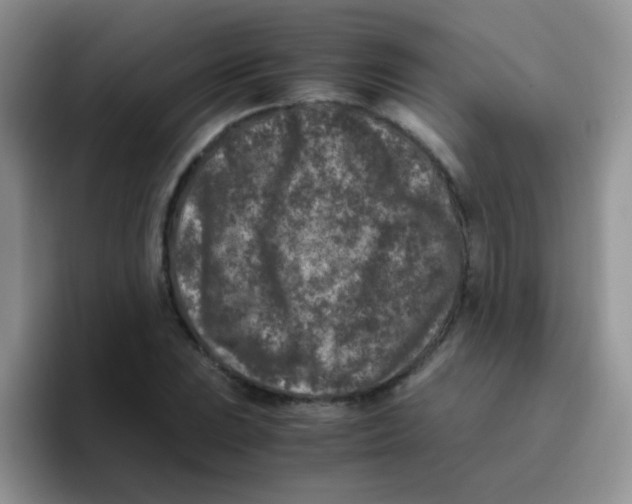 X0000095911023200802081049