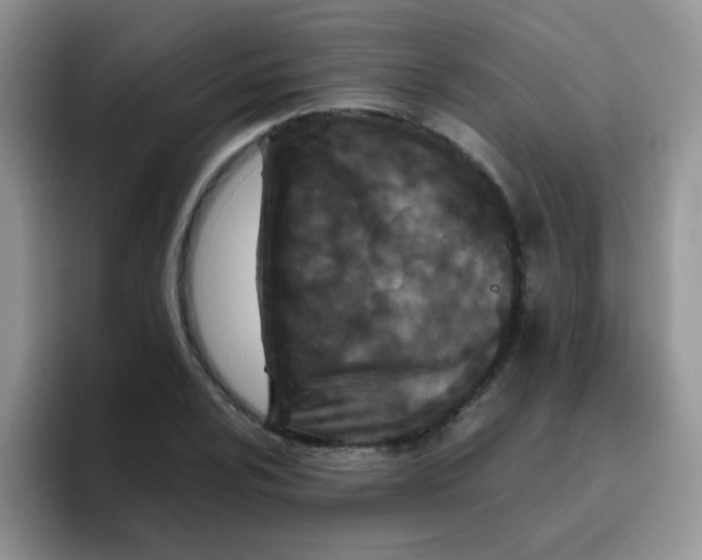 X0000095911024200802081049