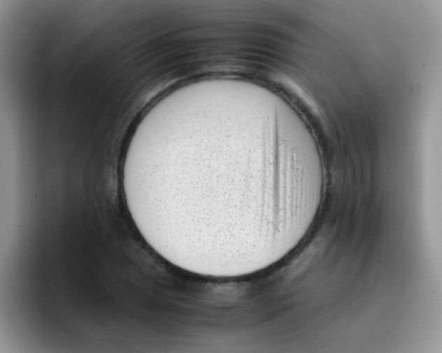 X0000095911025200802081049