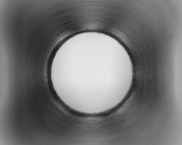 X0000095911026200802081049