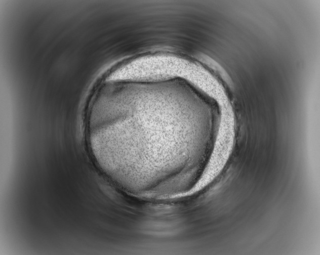 X0000095911027200802081049