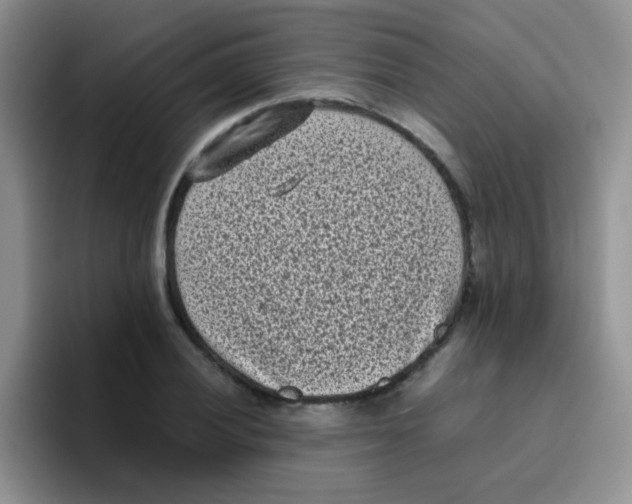 X0000095911028200802081049