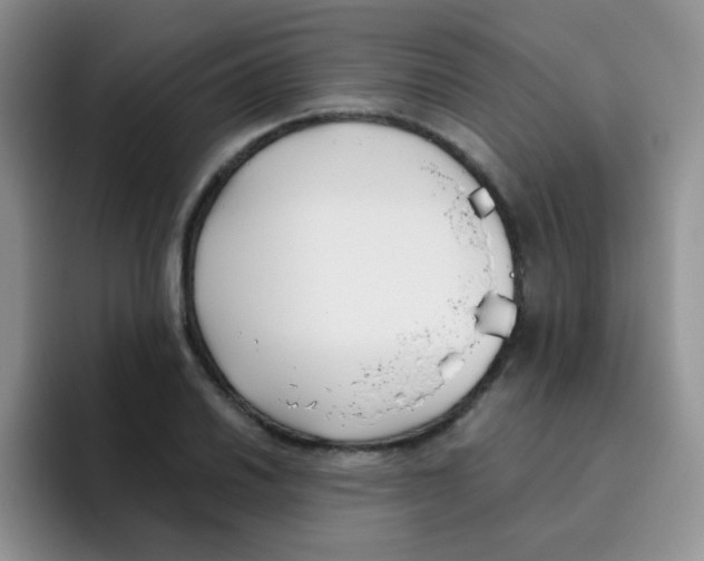 X0000095911030200802081049