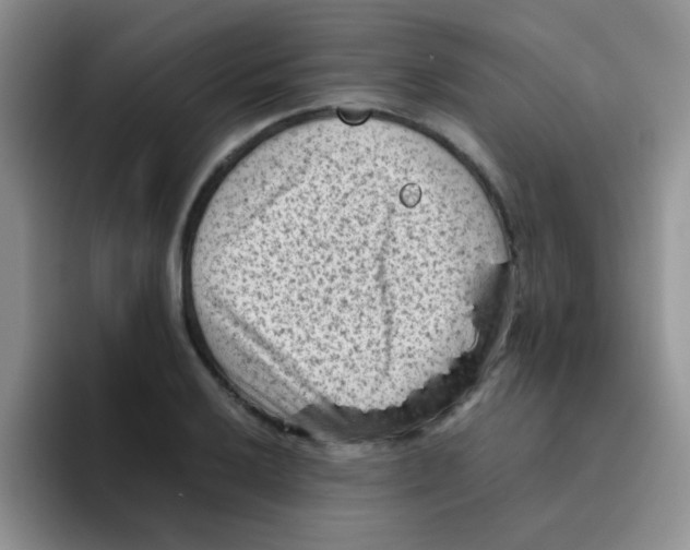 X0000095911032200802081049