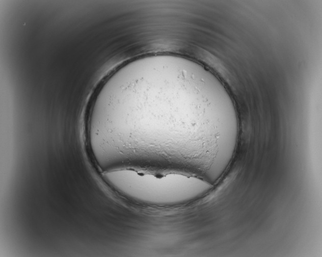 X0000095911034200802081049