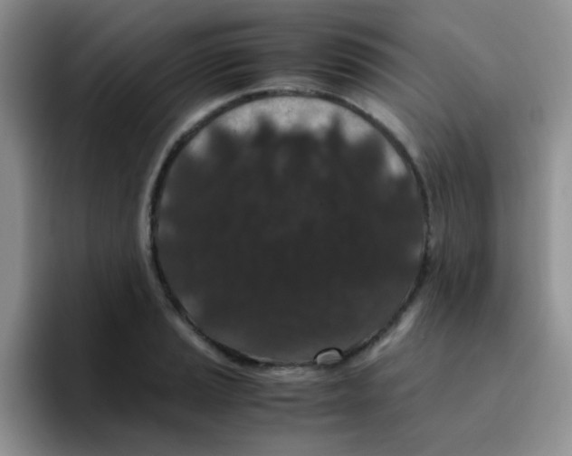 X0000095911037200802081049