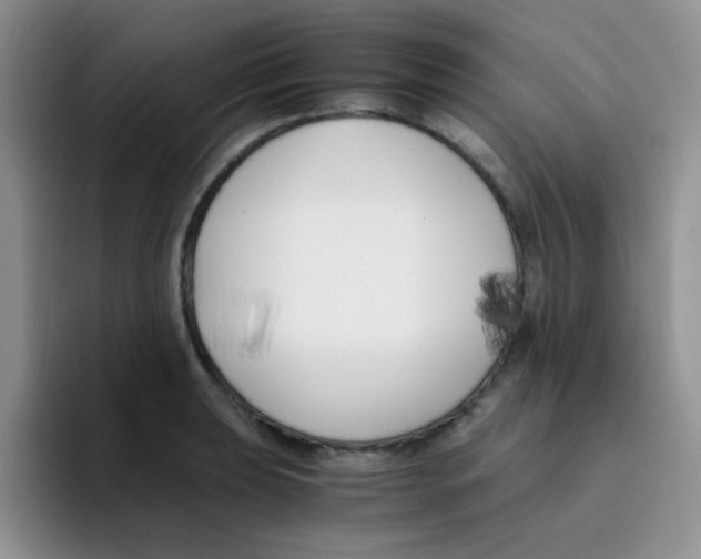 X0000095911039200802081049