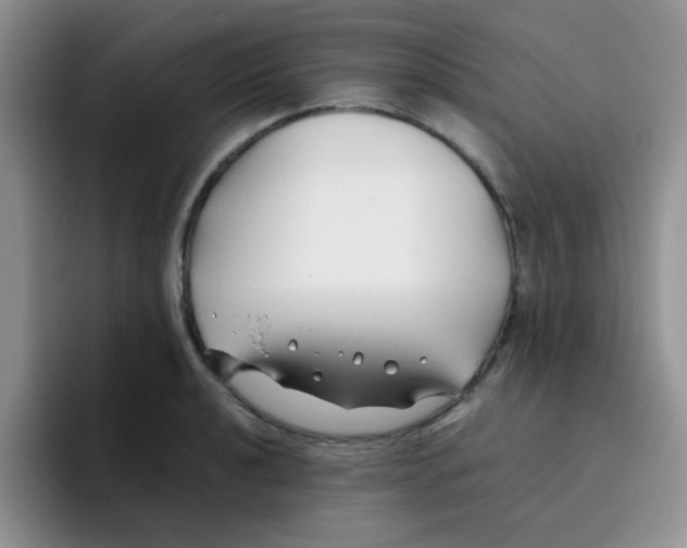 X0000095911040200802081049