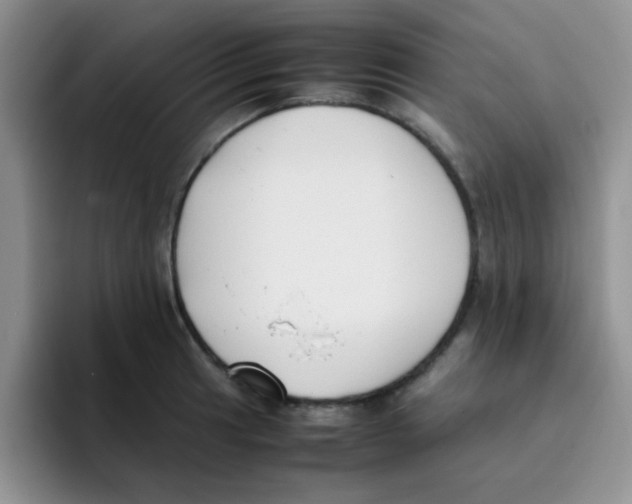 X0000095911041200802081049