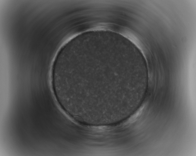 X0000095911045200802081049