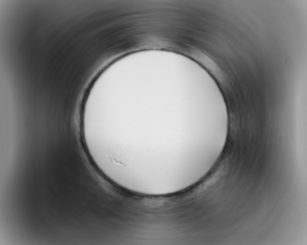 X0000095911046200802081049