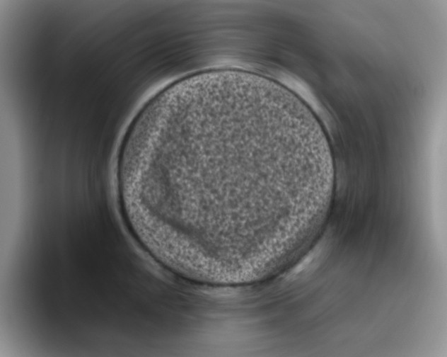 X0000095911048200802081049