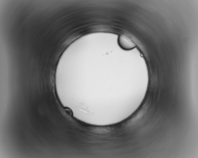 X0000095911049200802081049