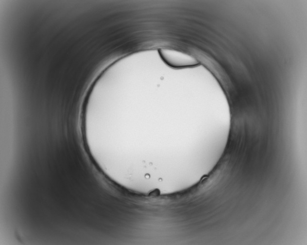 X0000095911050200802081049