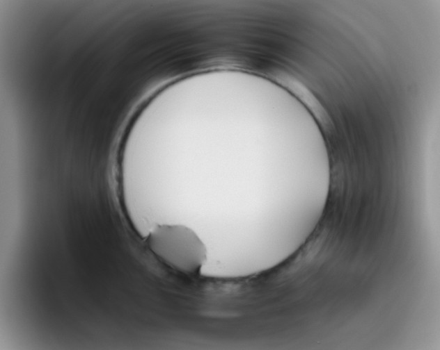 X0000095911051200802081049