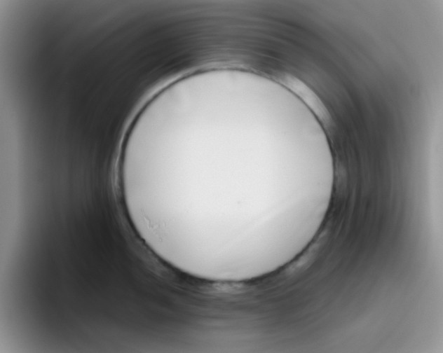 X0000095911052200802081049