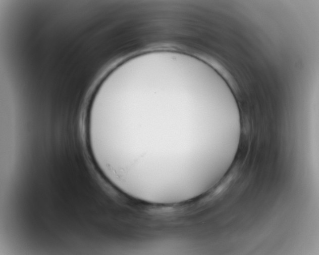 X0000095911054200802081049