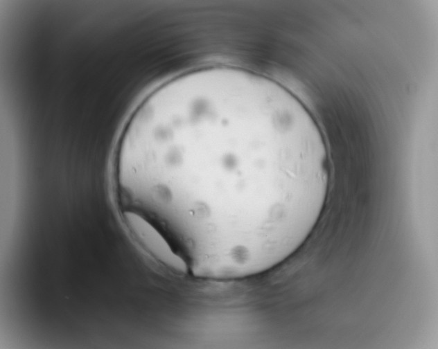 X0000095911056200802081049