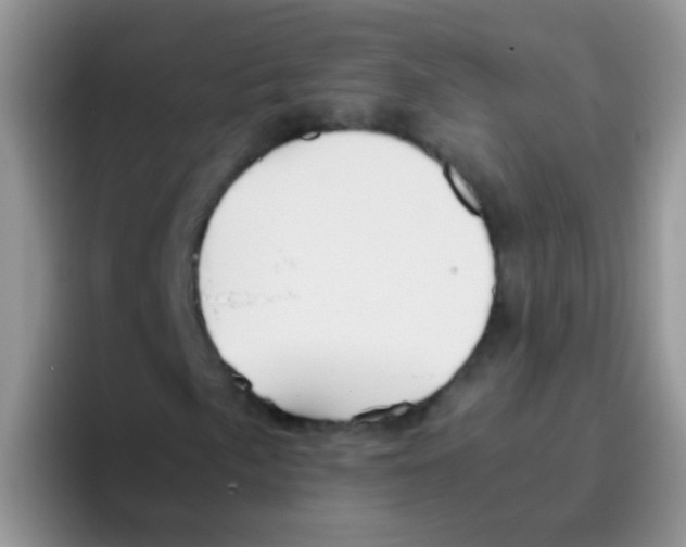 X0000095911057200802081048