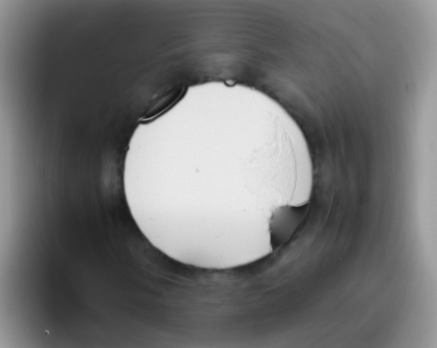 X0000095911058200802081048