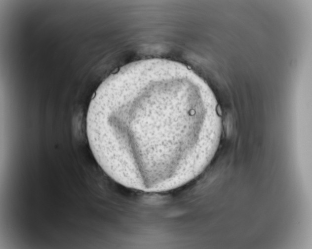 X0000095911059200802081048