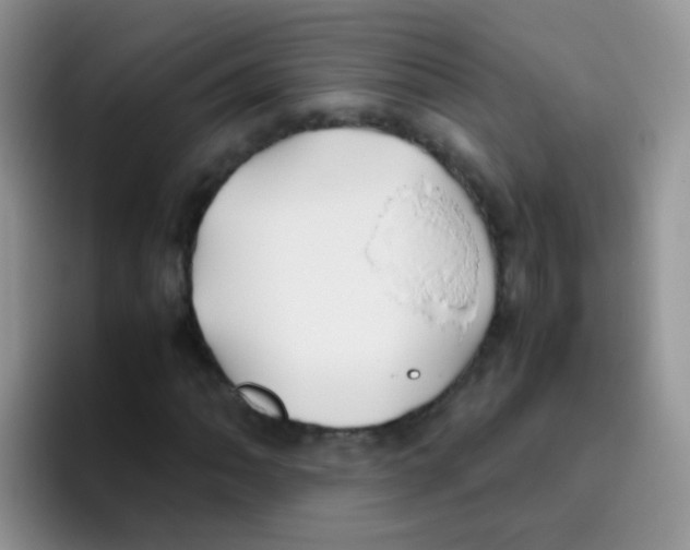 X0000095911062200802081048